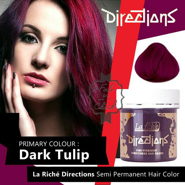 BN Dark Tulip Hair Dye (Lariche Directions), Beauty & Personal Care, Face,  Face Care on Carousell