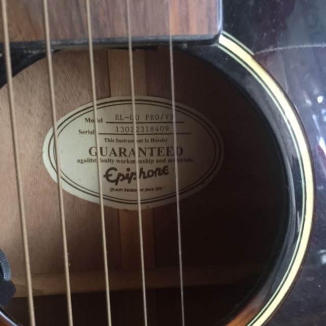 Epiphone el 100 pro clearance