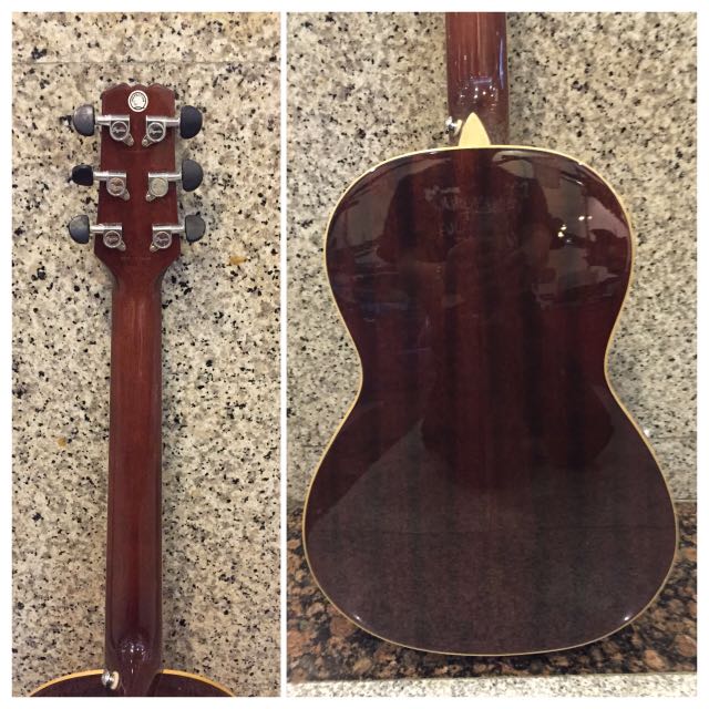 Segovia P100 NGS Parlor Size Acoustic Guitar, Hobbies & Toys, Music