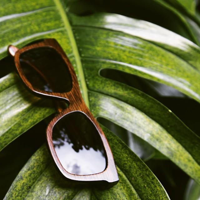 Muk sunglasses hotsell