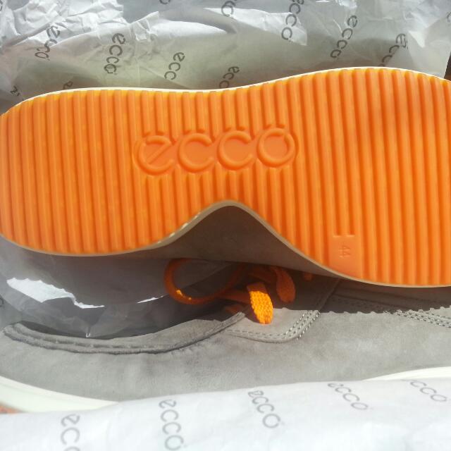 ecco mind