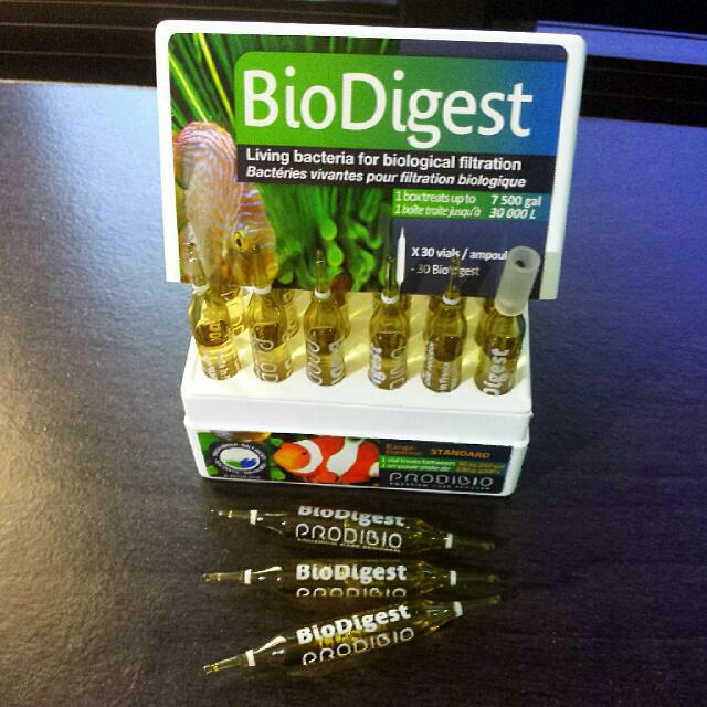 Prodibio Biodigest, Everything Else on Carousell
