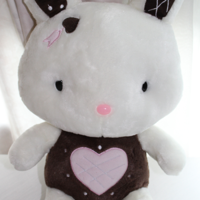 where to get a teddy bear with voice recorder