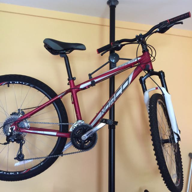 Norco bush pilot best sale review