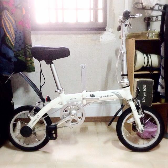 Second Hand but Mint White Dahon Dove 14