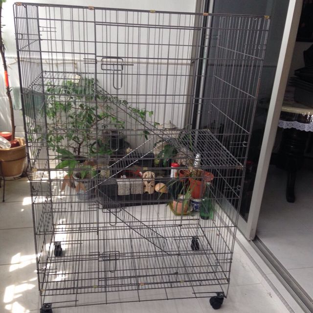 Amazonbasics Large 3 Tier Cat Cage Playpen Box Crate Kennel 36 X 22 X 51 Inches Black Amazon Sg Pet Supplies