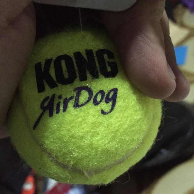 kong air squeaker tennis balls