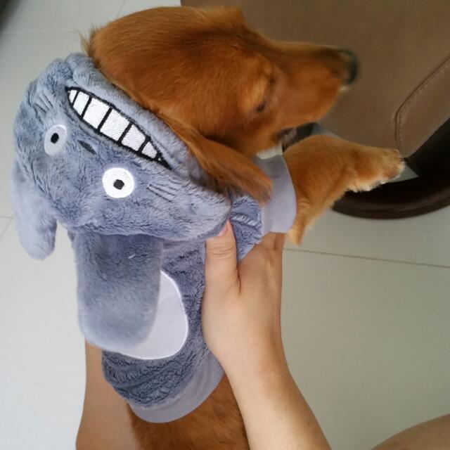 Totoro Costume For Dog, Pet Supplies, Homes & Other Pet Accessories on