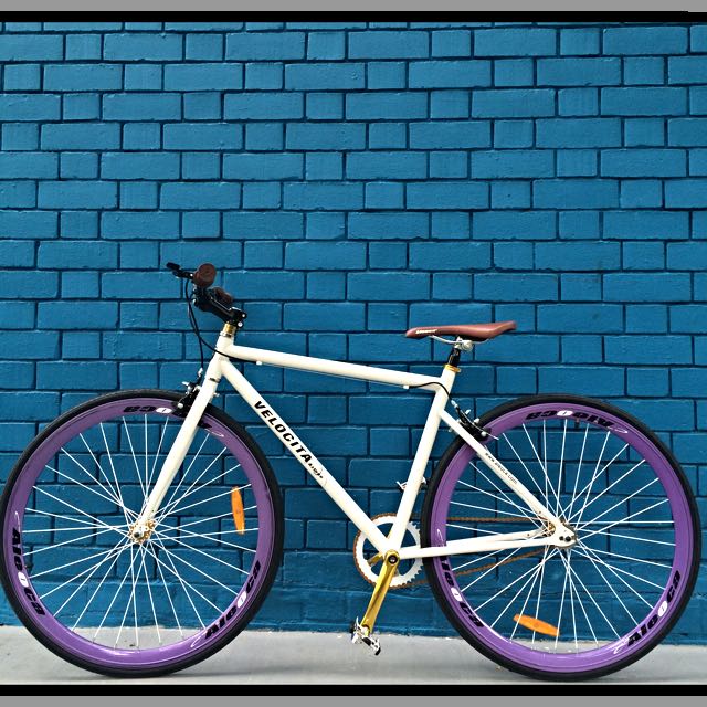 Aleoca fixie outlet
