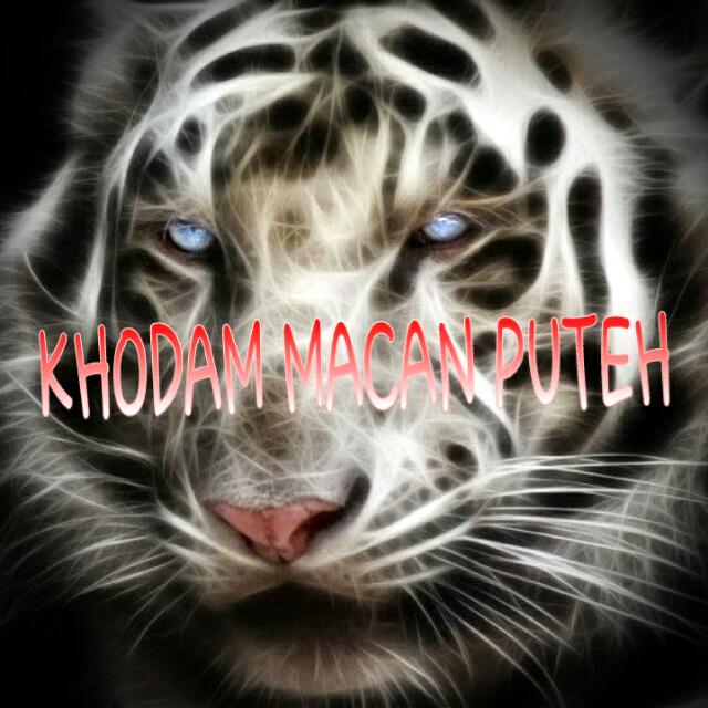 Pedamping Pengawal Wilaya Macan Peringkat Biasa Khodam