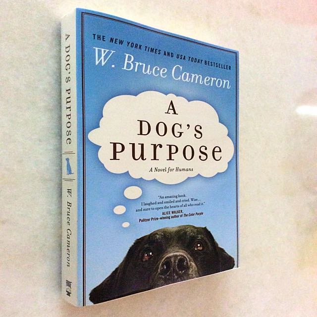 A Dogs Journey Book Series A Dog S Journey Movie Review Watch