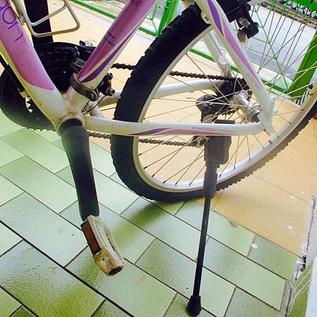 magna great divide hardtail 21 speed