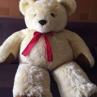 泰迪熊
