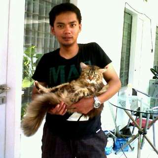 Salon Perawatan Penitipan Hewan Anjing Kucing Kelinci Surabaya