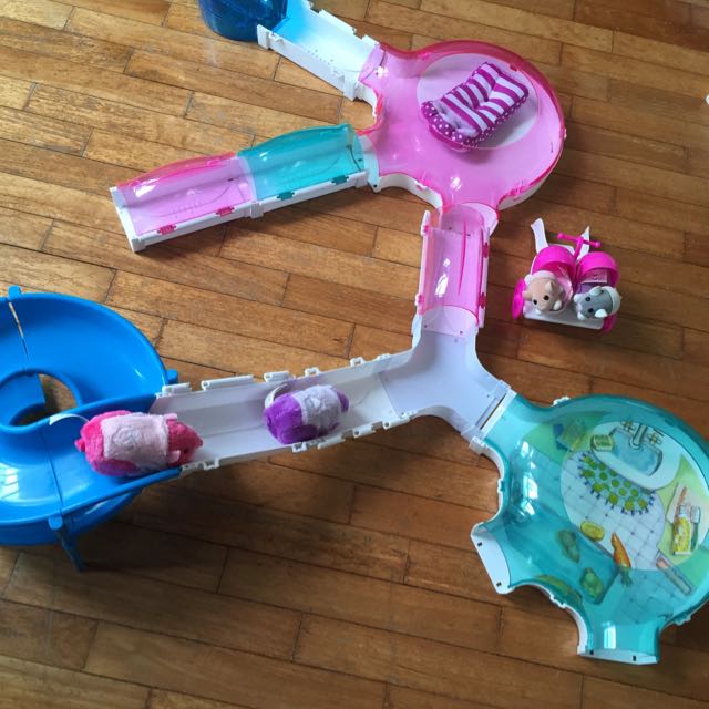 Hamsters Toys With Battery Operated Hamsters Which Can Run Around N Squeak Like Real . Setting Can B Arranged The Way U Want . Durable N Interesting