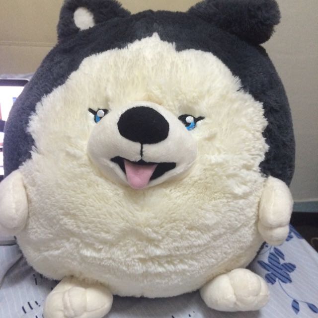 squishable husky