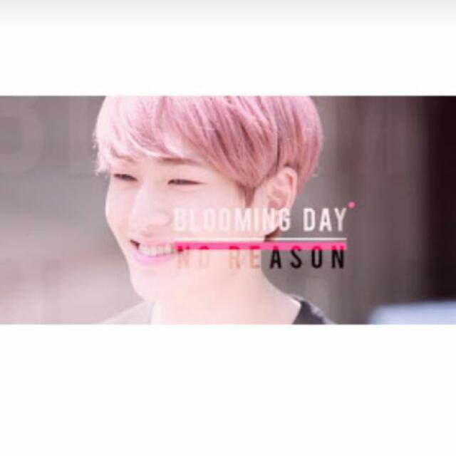 Looking For Shinee Onew Fansite No Reason Blooming Day Photobook Dvd Entertainment K Wave On Carousell Berbagai akun fansite yang setia mengikuti perjalanan onew menyatakan telah menutup akun mereka. carousell