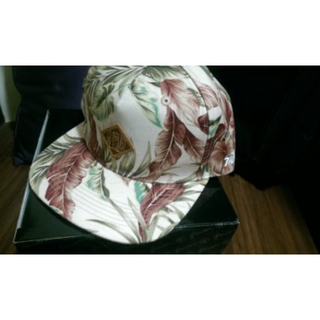 Money hat