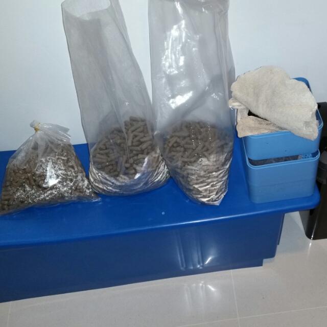 Overhead Filter Biohome Grey Filter Medias Pet Supplies On Carousell