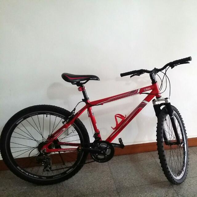 Mountain Bike RALEIGH M20