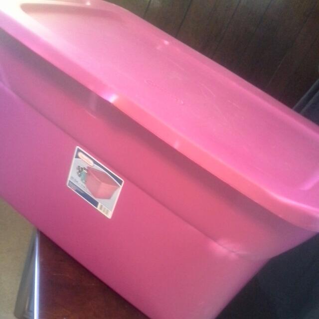 Pink sterilite containers top