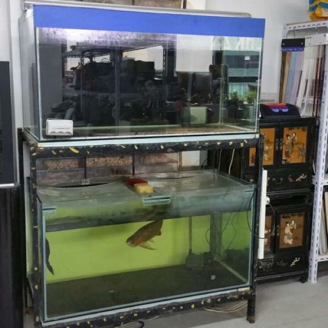 4ft fish tank sales for sale