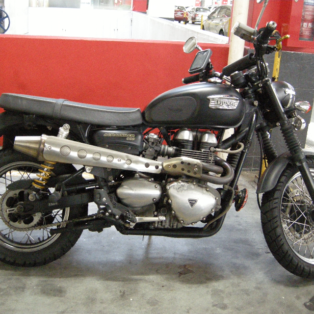 zard triumph scrambler