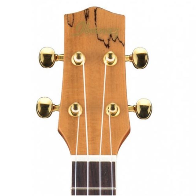 Ibanez UEW20SME Ukulele, Hobbies & Toys, Music & Media, Music Accessories on Carousell