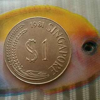 SG coin