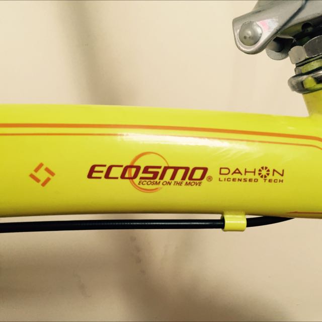 dahon ecosmo