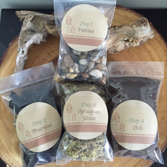 Terrarium Essentials, Furniture & Home Living, Home Decor, Other Home