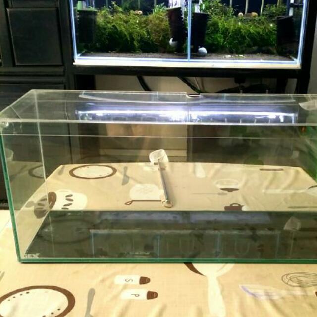 Gex Glassterior Slim 600 2ft Glass Tank, Pet Supplies, Homes & Other ...
