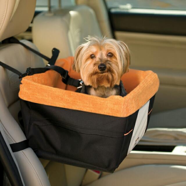 Kurgo Pet Carrier, Pet Supplies, Homes & Other Pet Accessories on Carousell