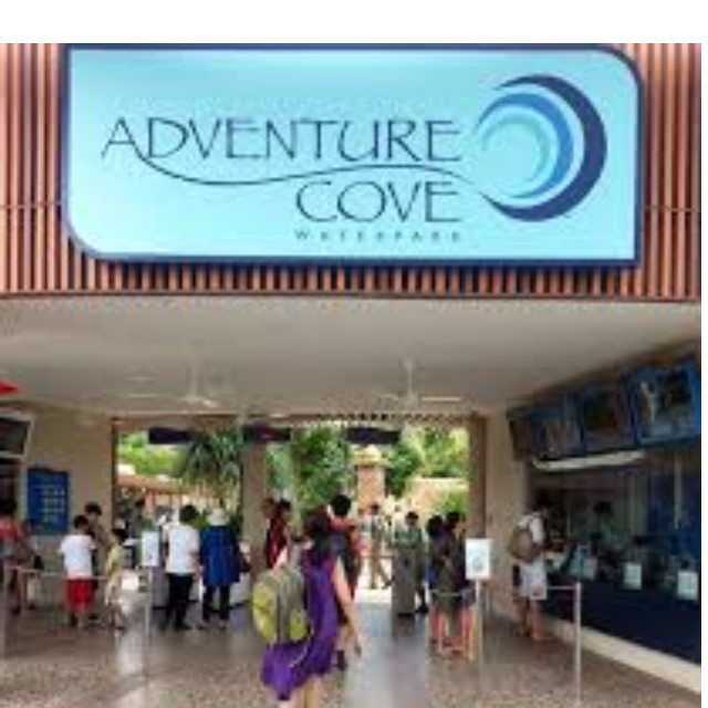 Adventure Cove Tickets, Entertainment on Carousell