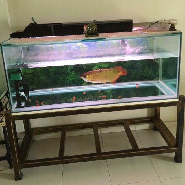 Featured image of post Fish Tank For Sale Singapore : As an online pet shop, pet lovers centre offers our customers many international and regional brands.