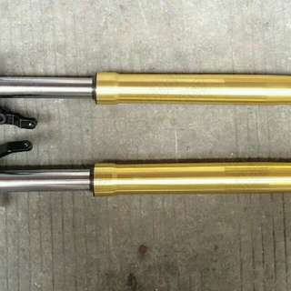 Ebike/Electric Bicycle/Champagne Gold Invented Fork