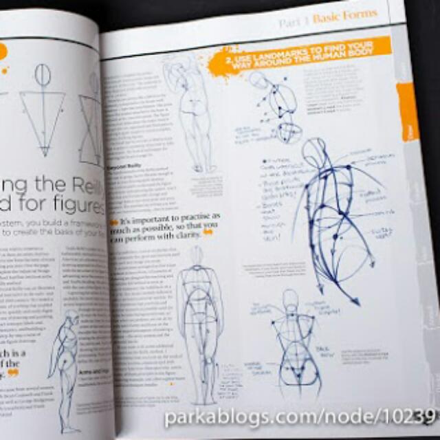 The Complete Guide How To Draw And Paint Anatomy By ImagineFX, Hobbies & Toys, Books