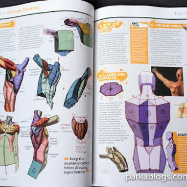 The Complete Guide How To Draw And Paint Anatomy By ImagineFX, Hobbies