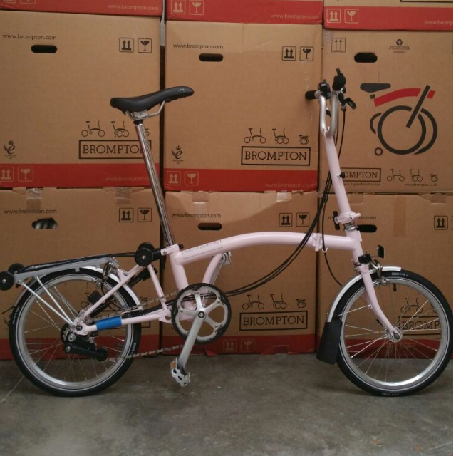brompton cherry blossom