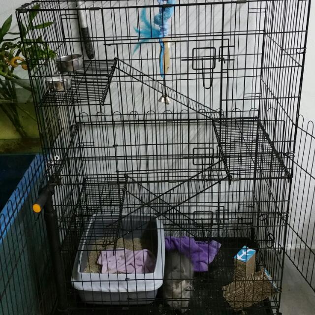 3 Tier Cat Cage For Sale Pet Supplies On Carousell