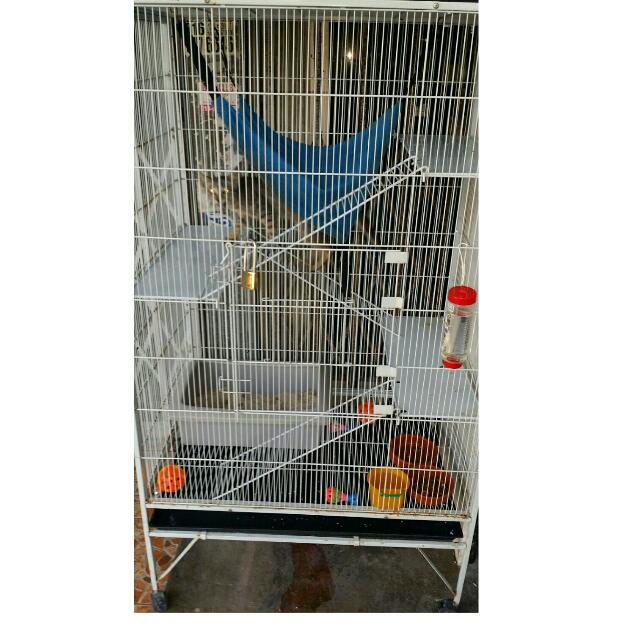 High 3 Tier Cat Cage For Sale Pet Supplies On Carousell