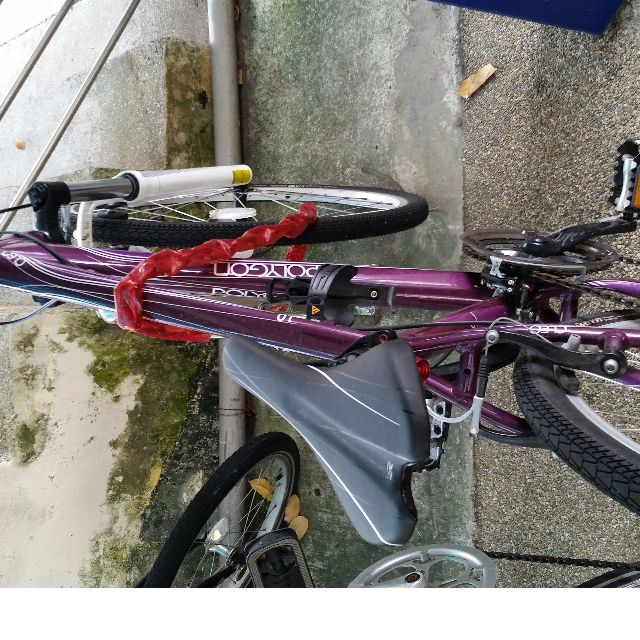 polygon cleo 2.0 2019