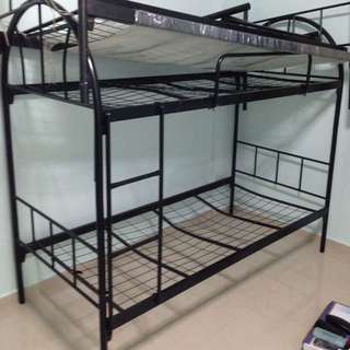 Double Decker Bed Frame X2