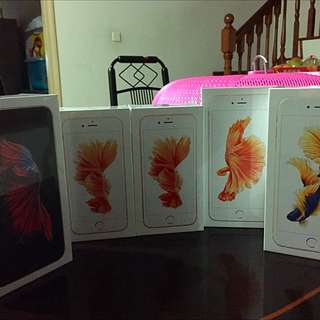 iPhone 6S+ & 6S (128Gb)