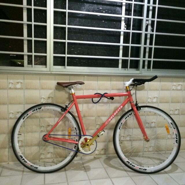 aleoca fixie