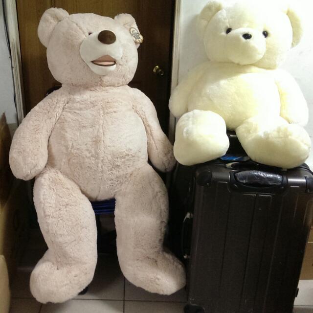 costco bear 53