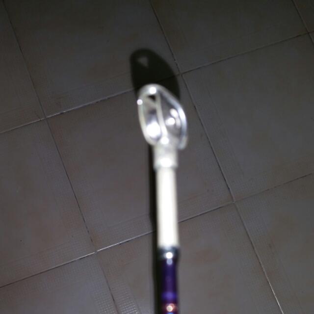 daiwa sealine powerlift rod