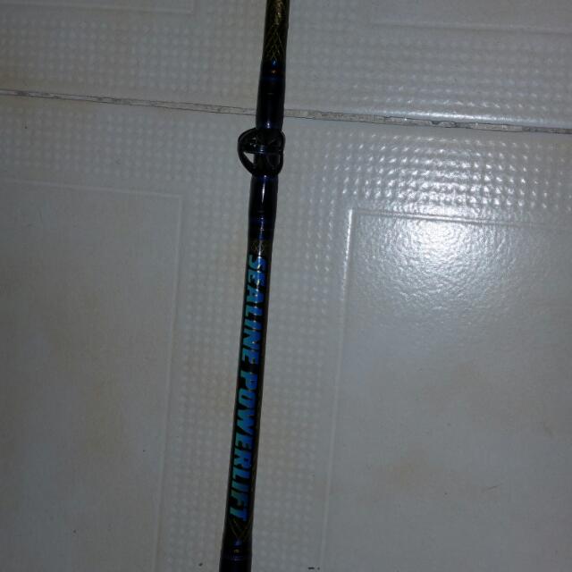 daiwa sealine powerlift rod