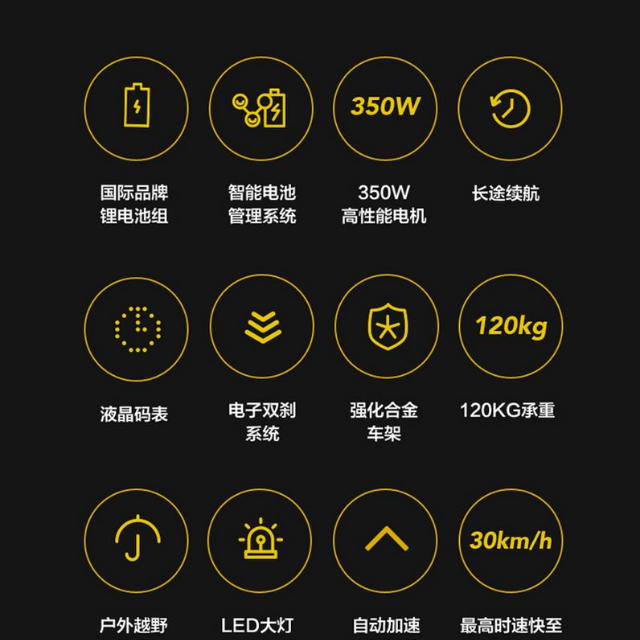 Germany motor WINDART ELECTRIC SCOOTER Cruise control Speedo