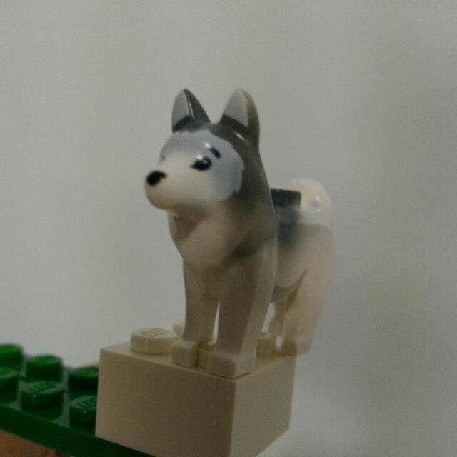 Lego city 2024 husky